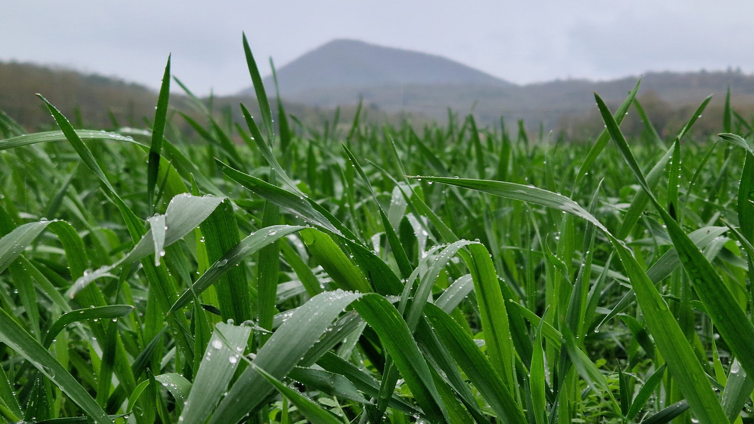 territori-batet (10)