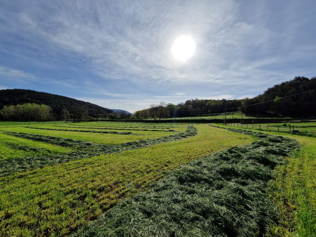 territori-bianya (1)