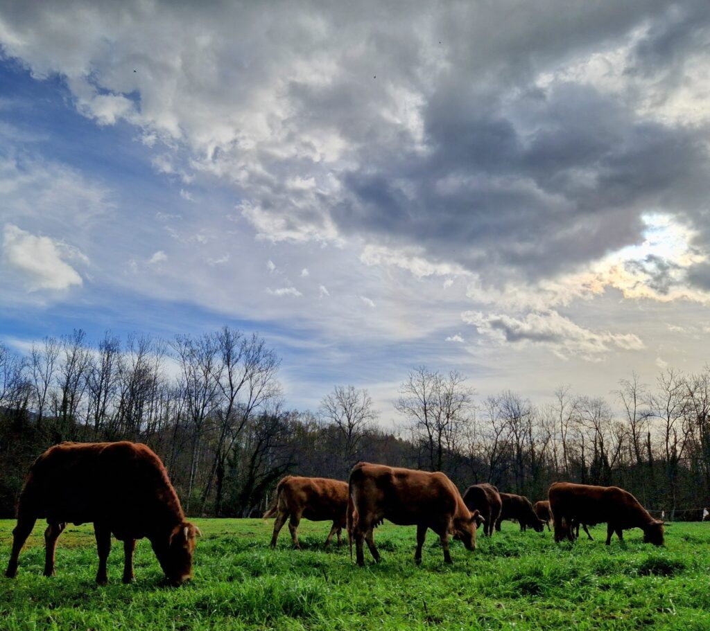 territori-bianya (3)