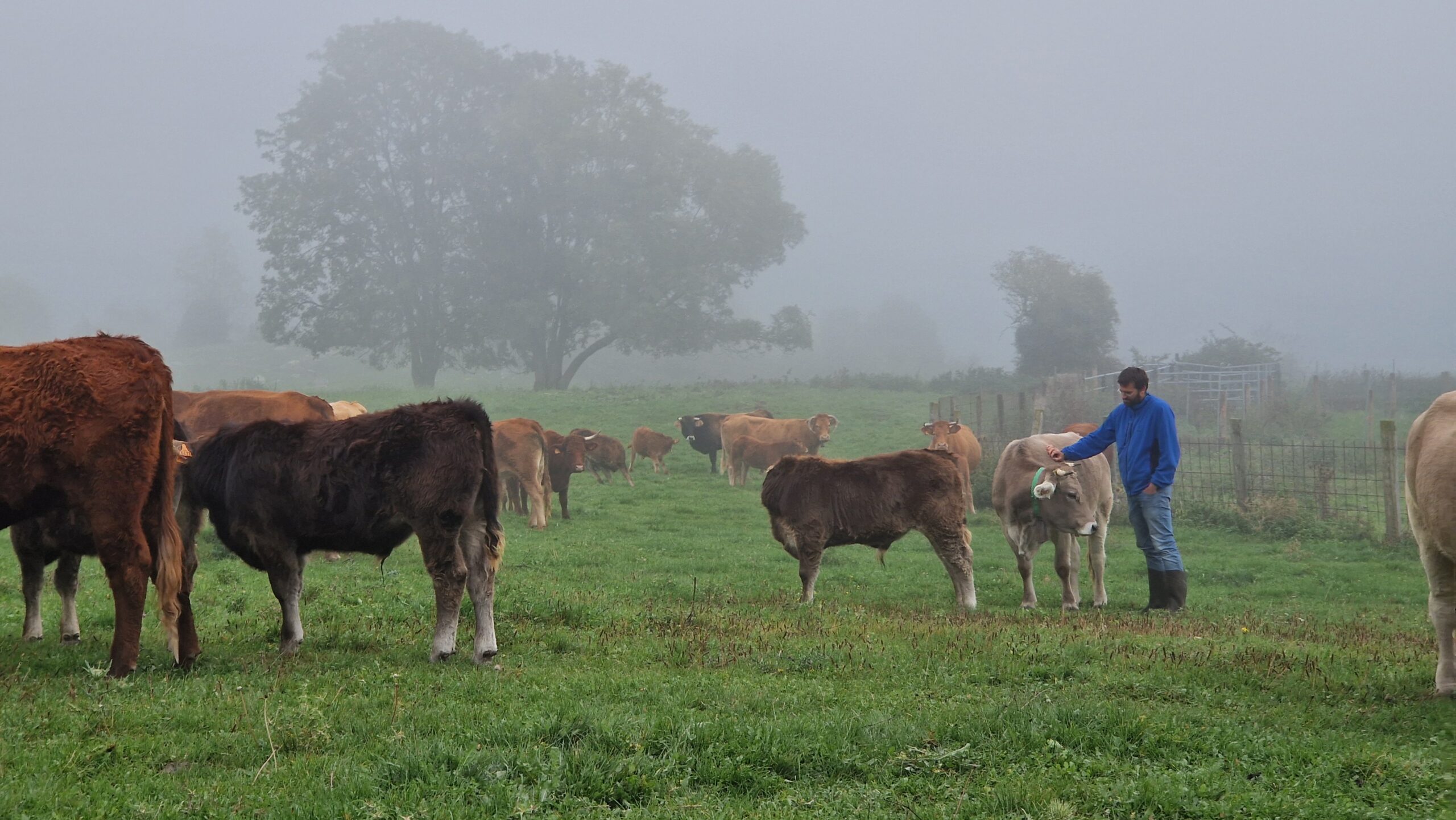 territori-ogassa-foto1
