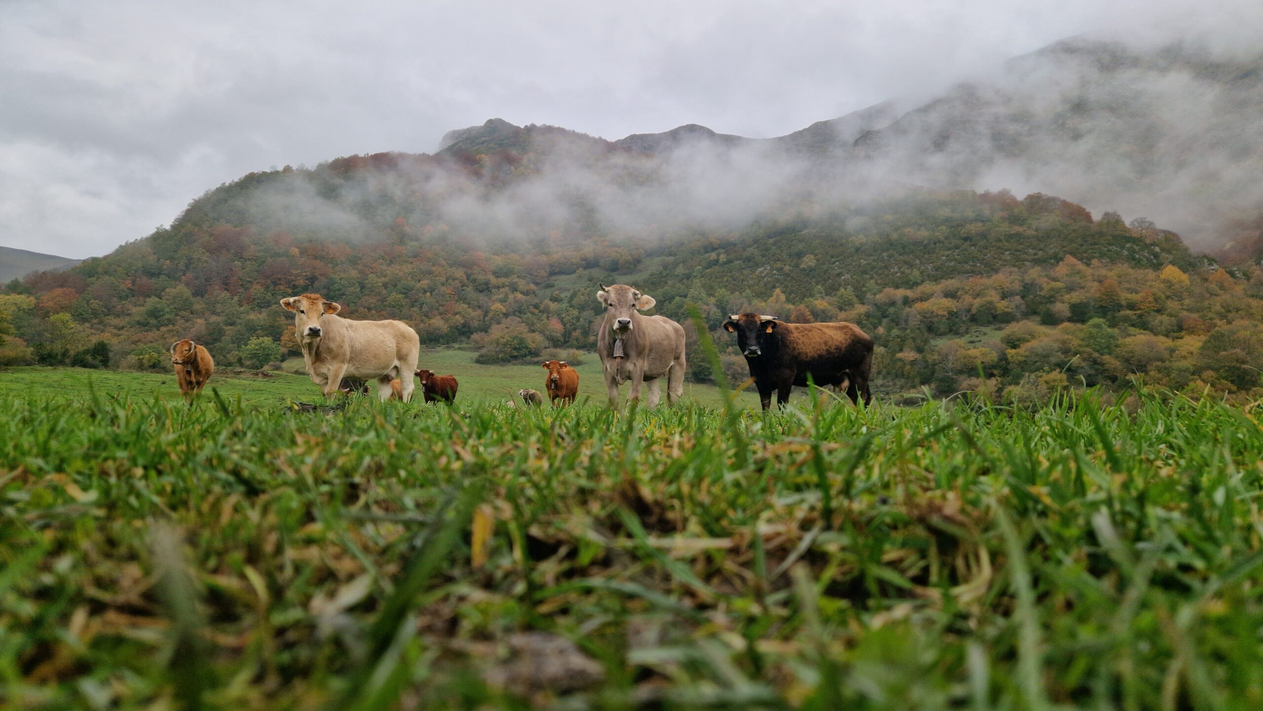 territori-ogassa-foto2