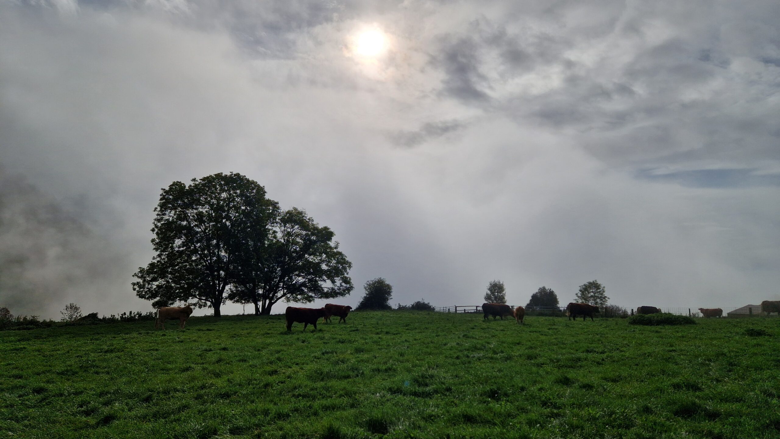 territori-ogassa-foto3