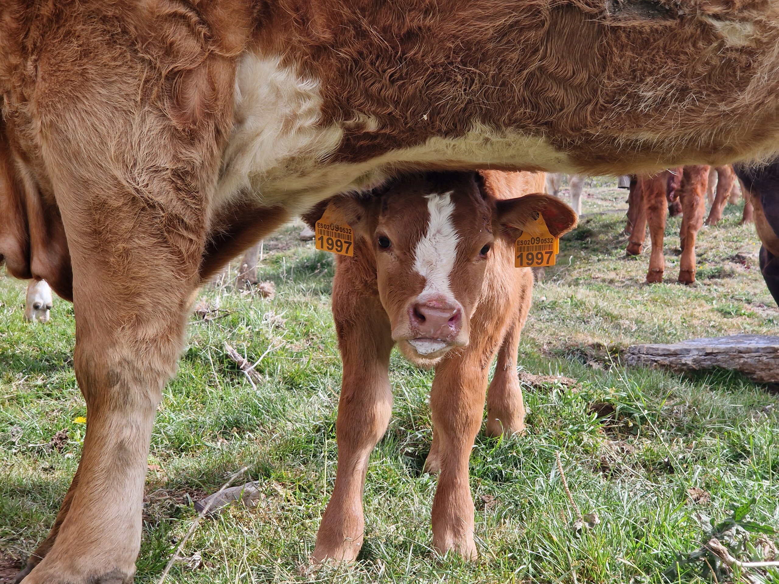 territori-ogassa-foto4