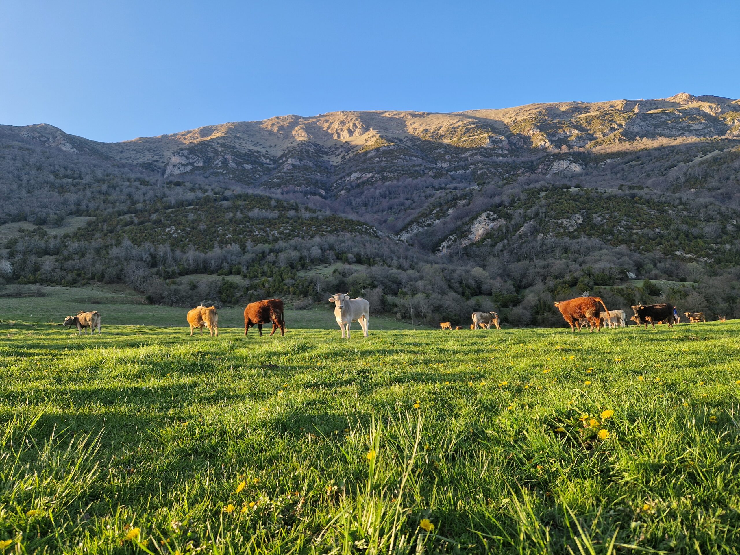 territori-ogassa-foto5