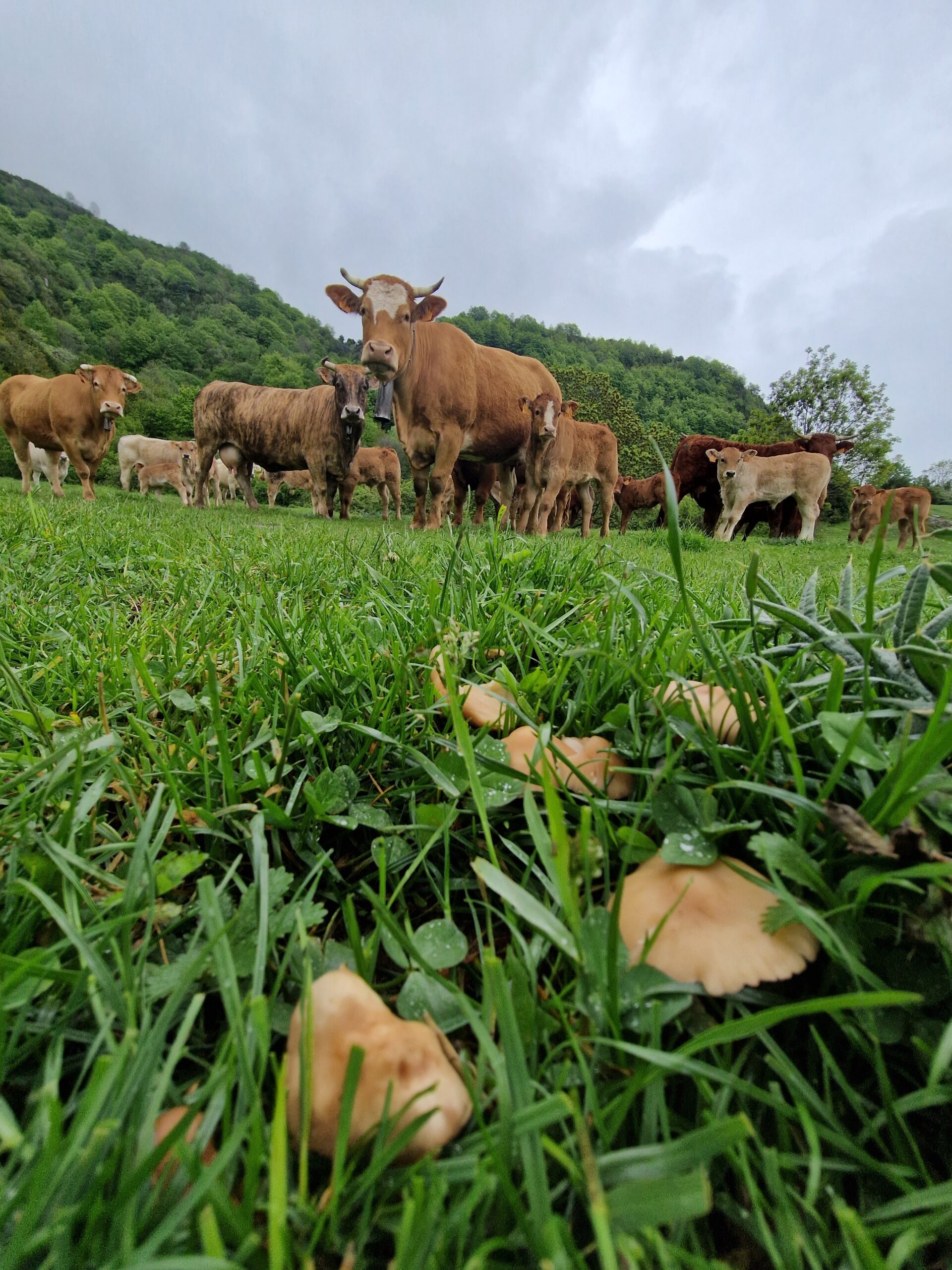 territori-ogassa-foto6