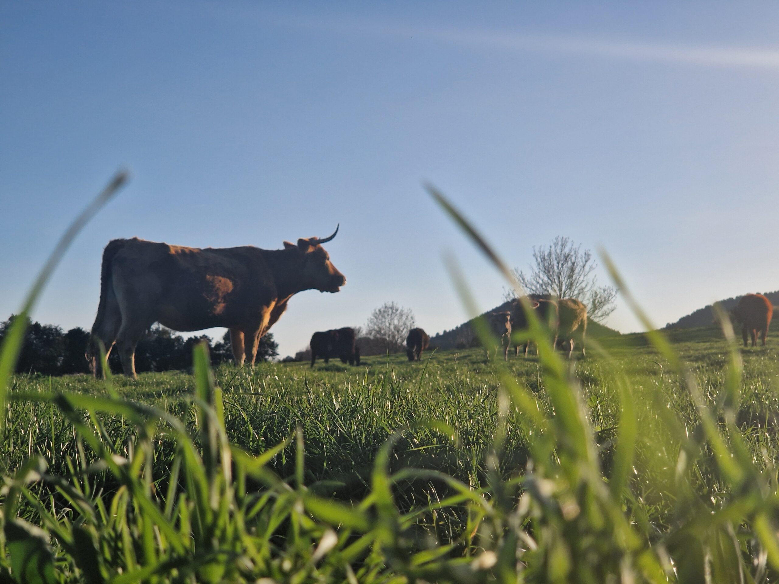 territori-ogassa-foto7